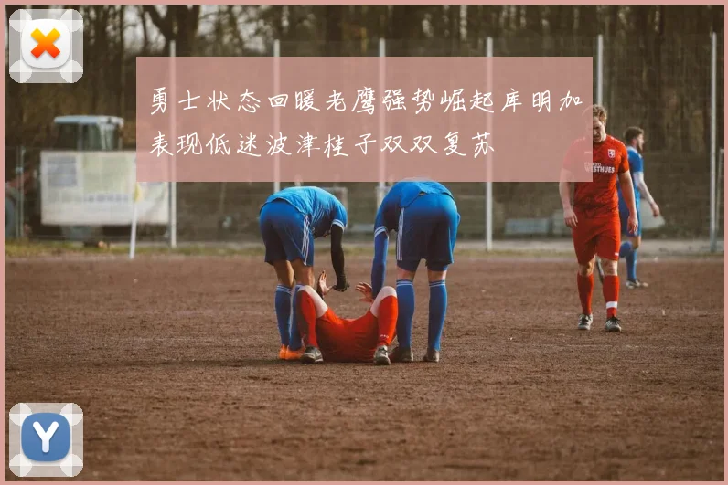 勇士状态回暖老鹰强势崛起库明加表现低迷波津桂子双双复苏