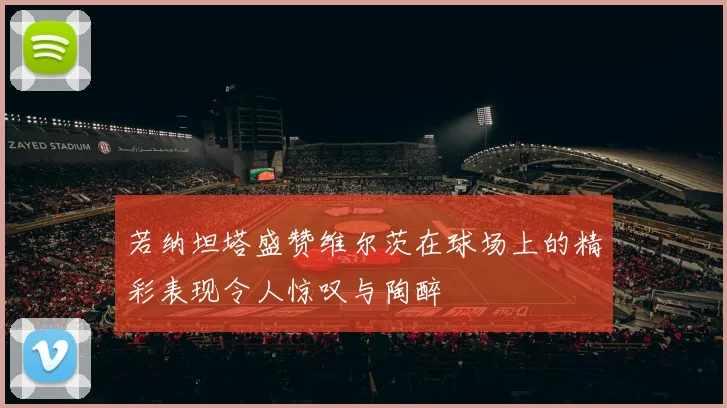 若纳坦塔盛赞维尔茨在球场上的精彩表现令人惊叹与陶醉