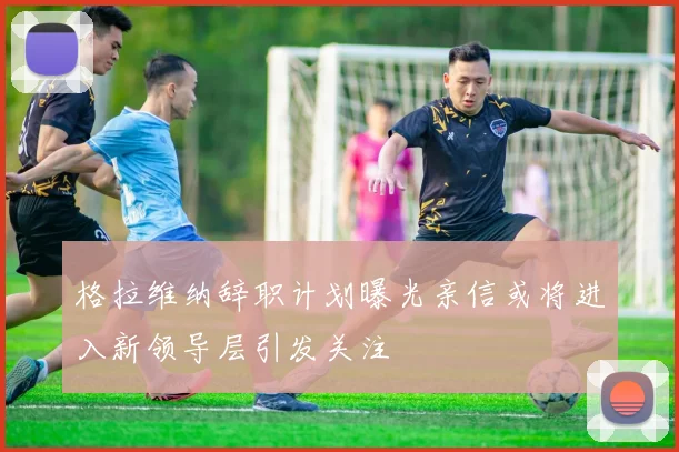 格拉维纳辞职计划曝光亲信或将进入新领导层引发关注